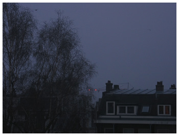 hedenochtend