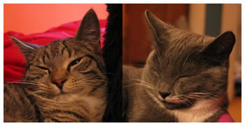 soooo lief!