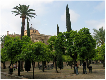mezquita