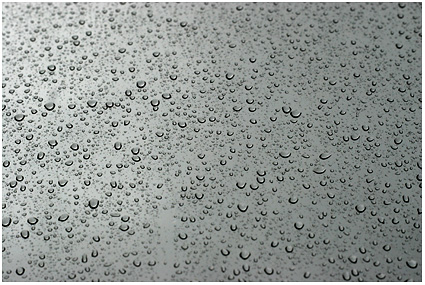 regen