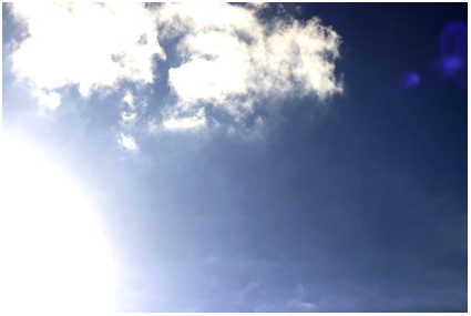 zon