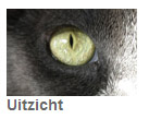 Uitzicht, een film van Michiel Brongers