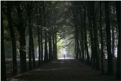 lekker wandelen