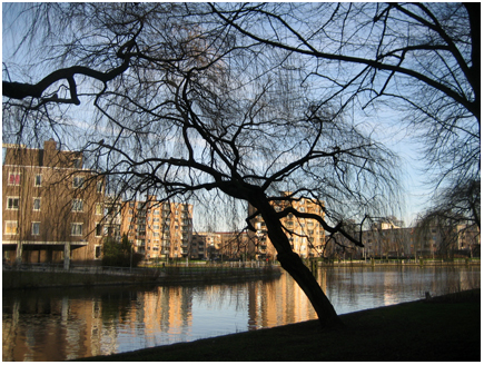 lage zon