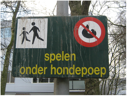 en zelfs kwajongetjes zoals het een stadsdeel betaamt
