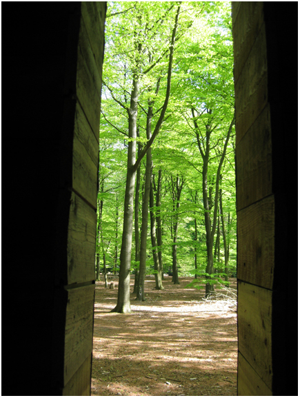 mooi groen