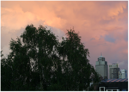 de toren mist niet
