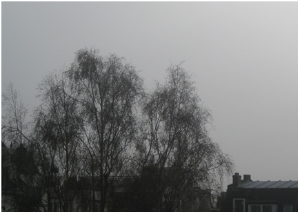 de toren mist